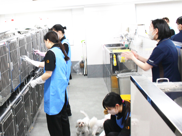 １年生、モデル犬のお世話が始まりました！